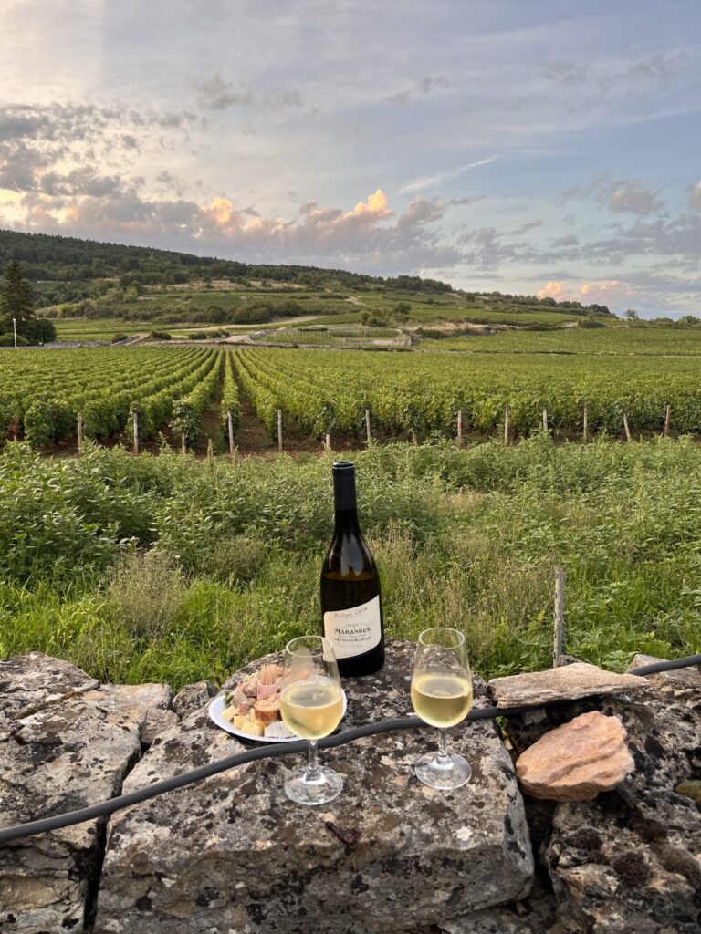 Apéro dans les vignes chez Villa Santenay
