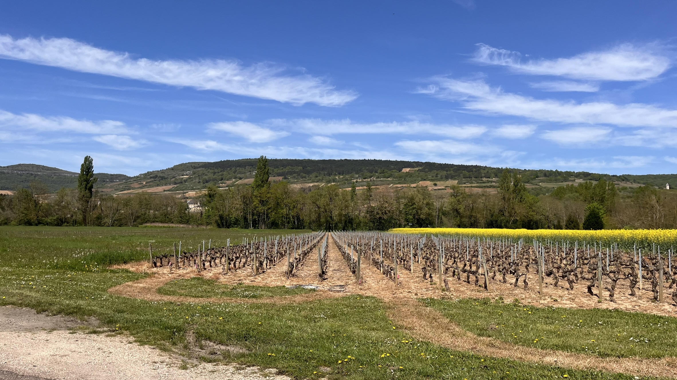 Activité Course à pied avec Villa Santenay