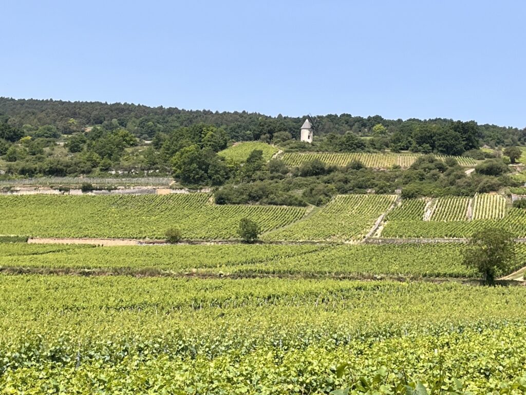 Activité culturelle et historique du moulin Sorine