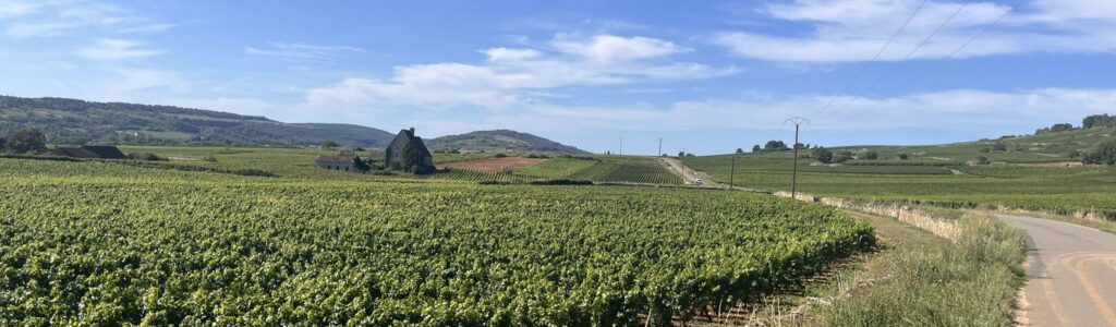 Activité promenade Route de Chassagne par Villa Santenay